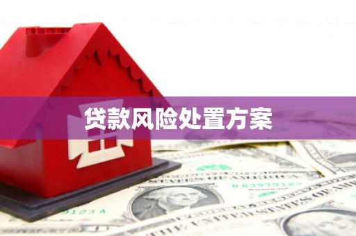 汶川贷款风险处置方案