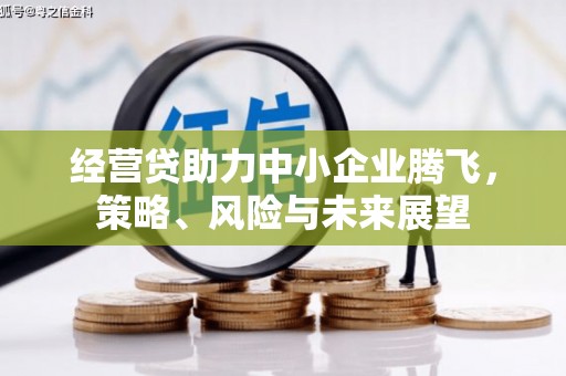 汶川经营贷助力中小企业腾飞，策略、风险与未来展望