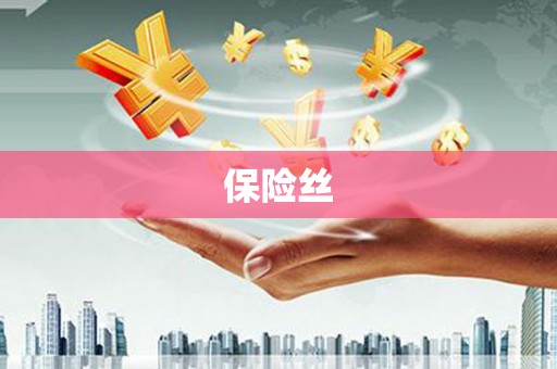 汶川保险丝