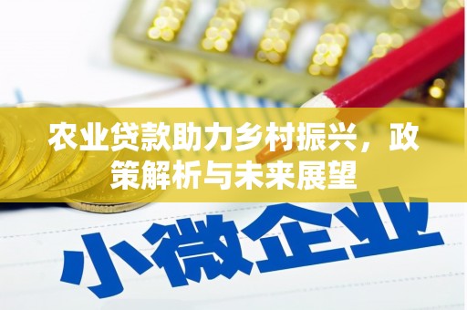 汶川农业贷款助力乡村振兴，政策解析与未来展望