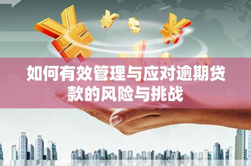 汶川如何有效管理与应对逾期贷款的风险与挑战