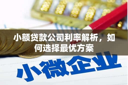 汶川小额贷款公司利率解析，如何选择最优方案