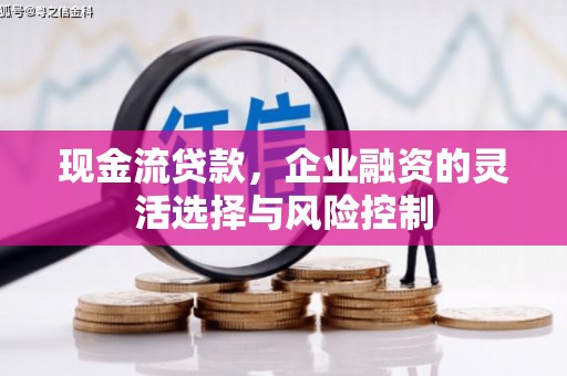 汶川现金流贷款，企业融资的灵活选择与风险控制