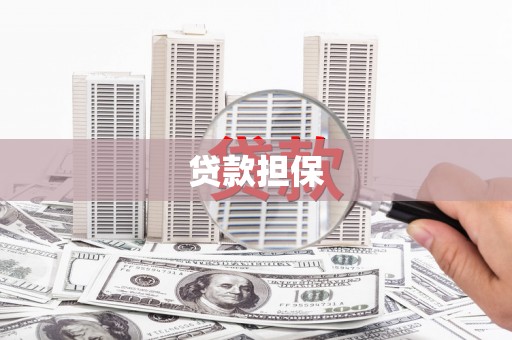 汶川贷款担保