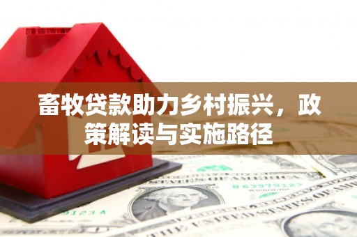 汶川畜牧贷款助力乡村振兴，政策解读与实施路径