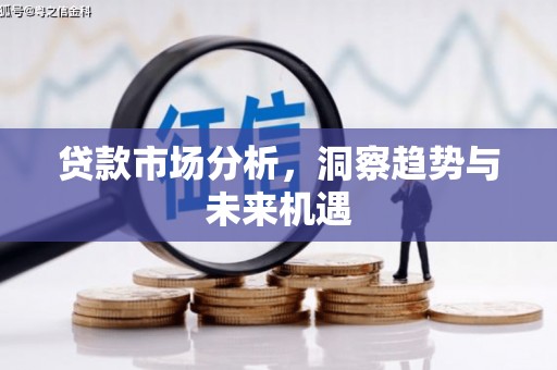 汶川贷款市场分析，洞察趋势与未来机遇