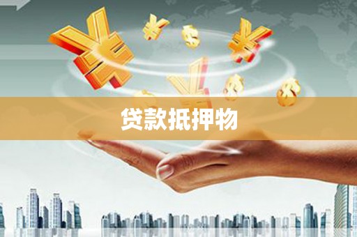 汶川贷款抵押物