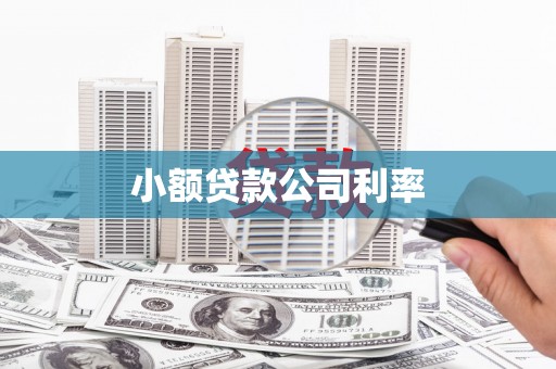 汶川小额贷款公司利率