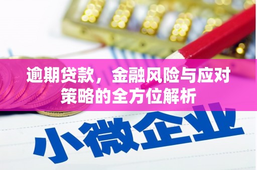 汶川逾期贷款，金融风险与应对策略的全方位解析
