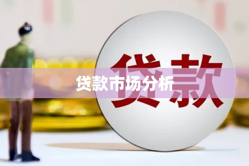 汶川贷款市场分析