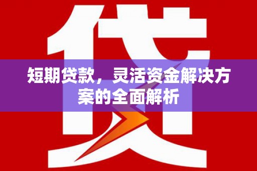 汶川短期贷款，灵活资金解决方案的全面解析