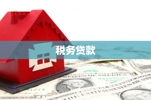 汶川税务贷款