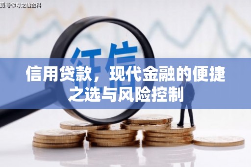 汶川信用贷款，现代金融的便捷之选与风险控制