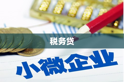汶川税务贷