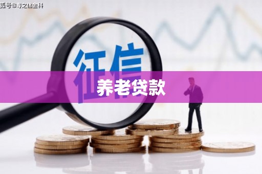 汶川养老贷款