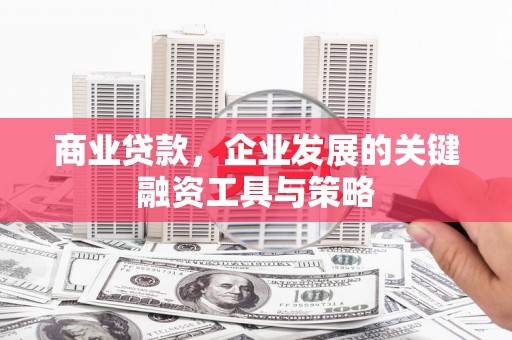 汶川商业贷款，企业发展的关键融资工具与策略