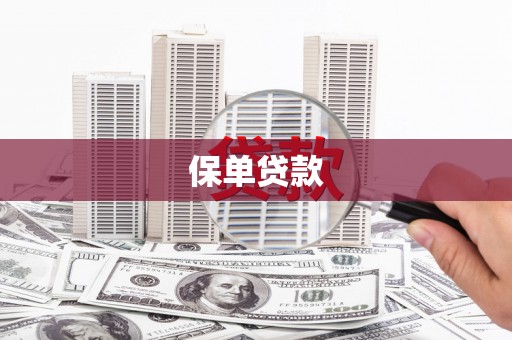 汶川保单贷款