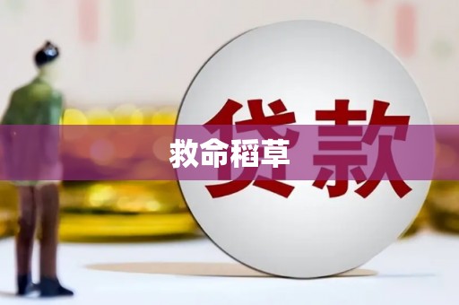 汶川救命稻草