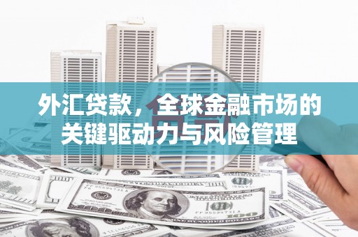 汶川外汇贷款，全球金融市场的关键驱动力与风险管理