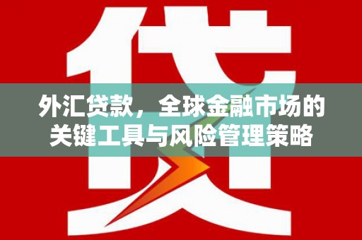 汶川外汇贷款，全球金融市场的关键工具与风险管理策略