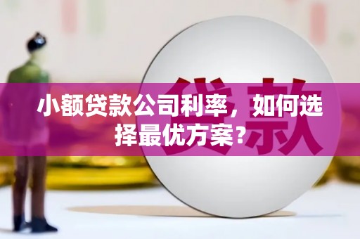 汶川小额贷款公司利率，如何选择最优方案？