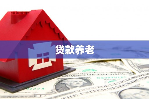 汶川贷款养老