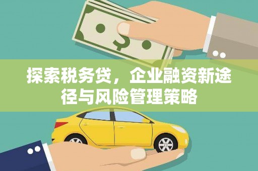 汶川探索税务贷，企业融资新途径与风险管理策略