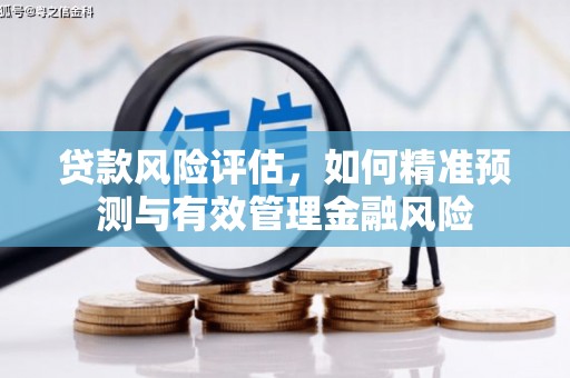 汶川贷款风险评估，如何精准预测与有效管理金融风险