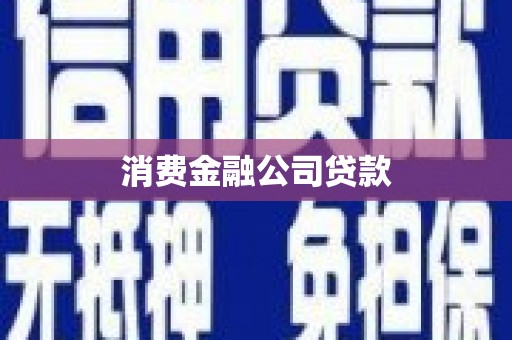汶川消费金融公司贷款