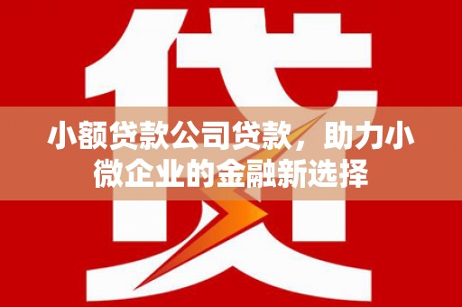 汶川小额贷款公司贷款，助力小微企业的金融新选择