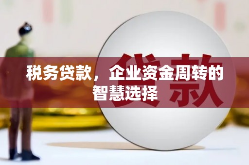 汶川税务贷款，企业资金周转的智慧选择