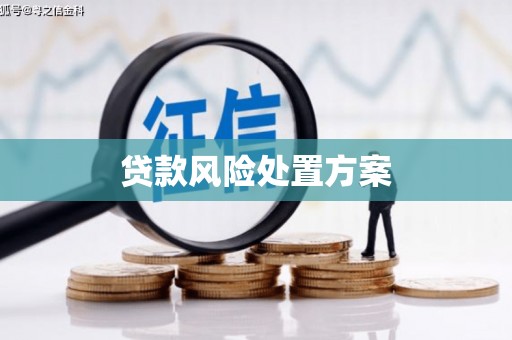 汶川贷款风险处置方案