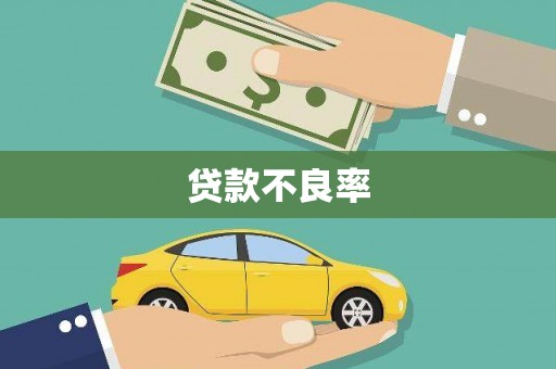 汶川贷款不良率