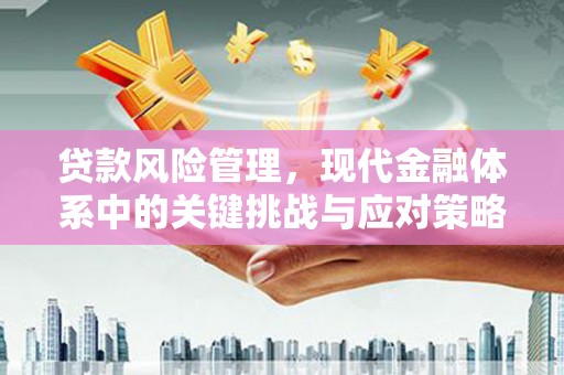 汶川贷款风险管理，现代金融体系中的关键挑战与应对策略