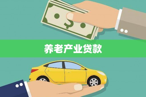 汶川养老产业贷款