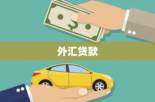 汶川外汇贷款