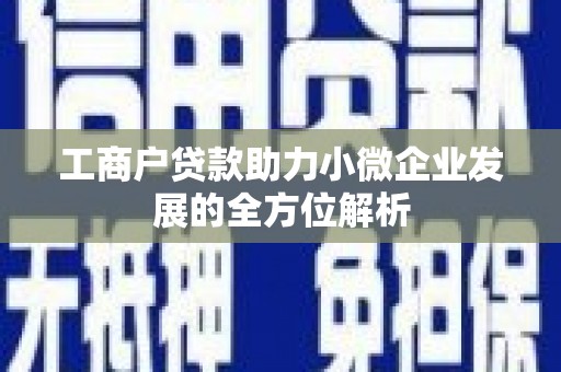 汶川工商户贷款助力小微企业发展的全方位解析