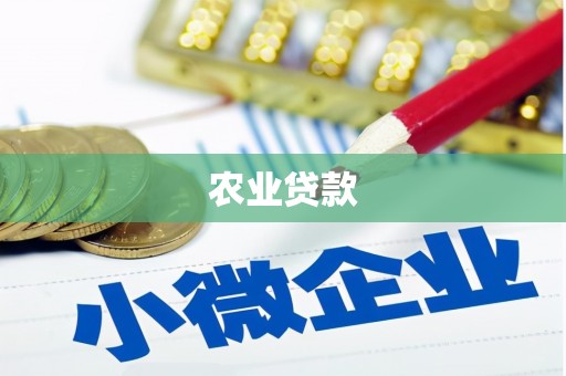 汶川农业贷款