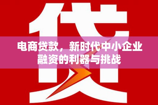 汶川电商贷款，新时代中小企业融资的利器与挑战