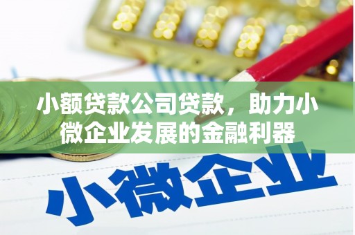 汶川小额贷款公司贷款，助力小微企业发展的金融利器