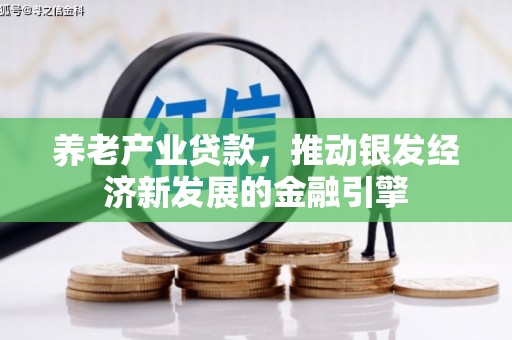 汶川养老产业贷款，推动银发经济新发展的金融引擎