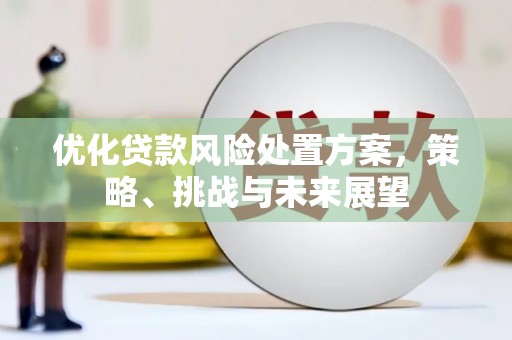 汶川优化贷款风险处置方案，策略、挑战与未来展望