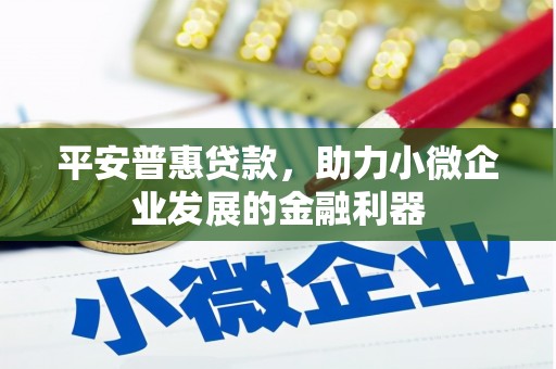 汶川平安普惠贷款，助力小微企业发展的金融利器
