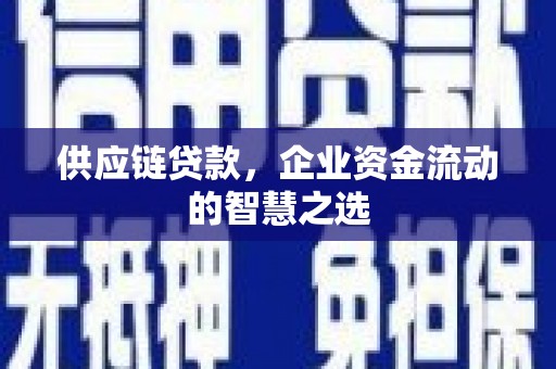 汶川供应链贷款，企业资金流动的智慧之选