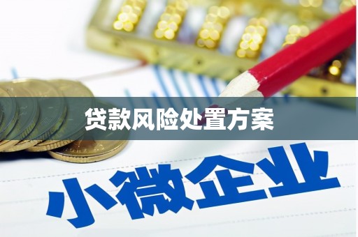汶川贷款风险处置方案