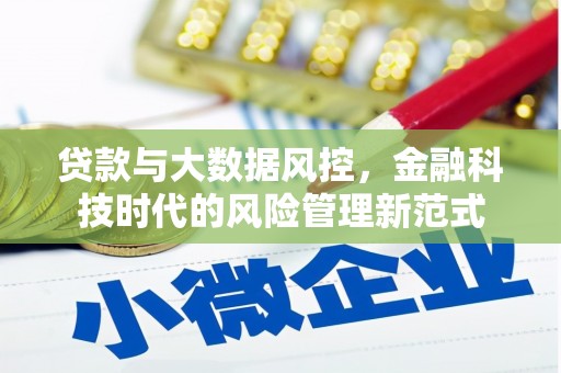 汶川贷款与大数据风控，金融科技时代的风险管理新范式