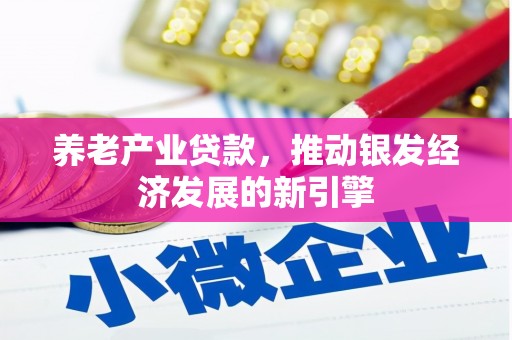 汶川养老产业贷款，推动银发经济发展的新引擎
