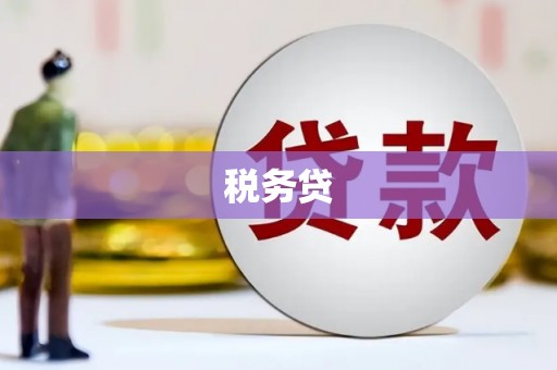 汶川税务贷