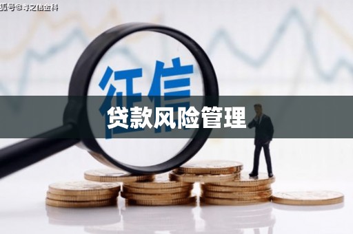 汶川贷款风险管理