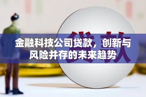 汶川金融科技公司贷款，创新与风险并存的未来趋势